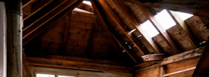 Attic inspection services.